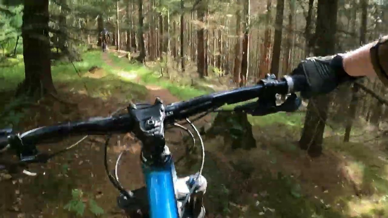 Hogata - Sępia Góra, Świeradów-Zdrój | enduro MTB Góry Izerskie