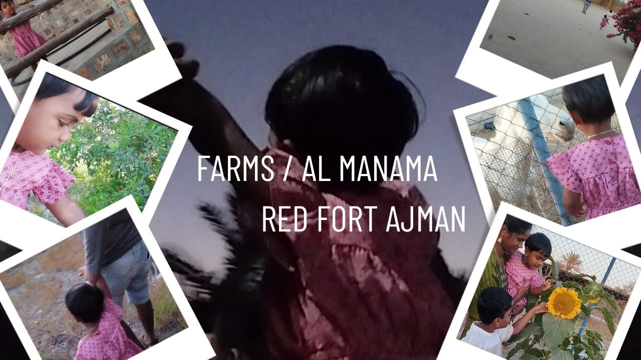 Hidden Farms/Al manama red fort,Ajman🏞💕#travel #farms#happy#love#video#vlog#fun#trending#explore