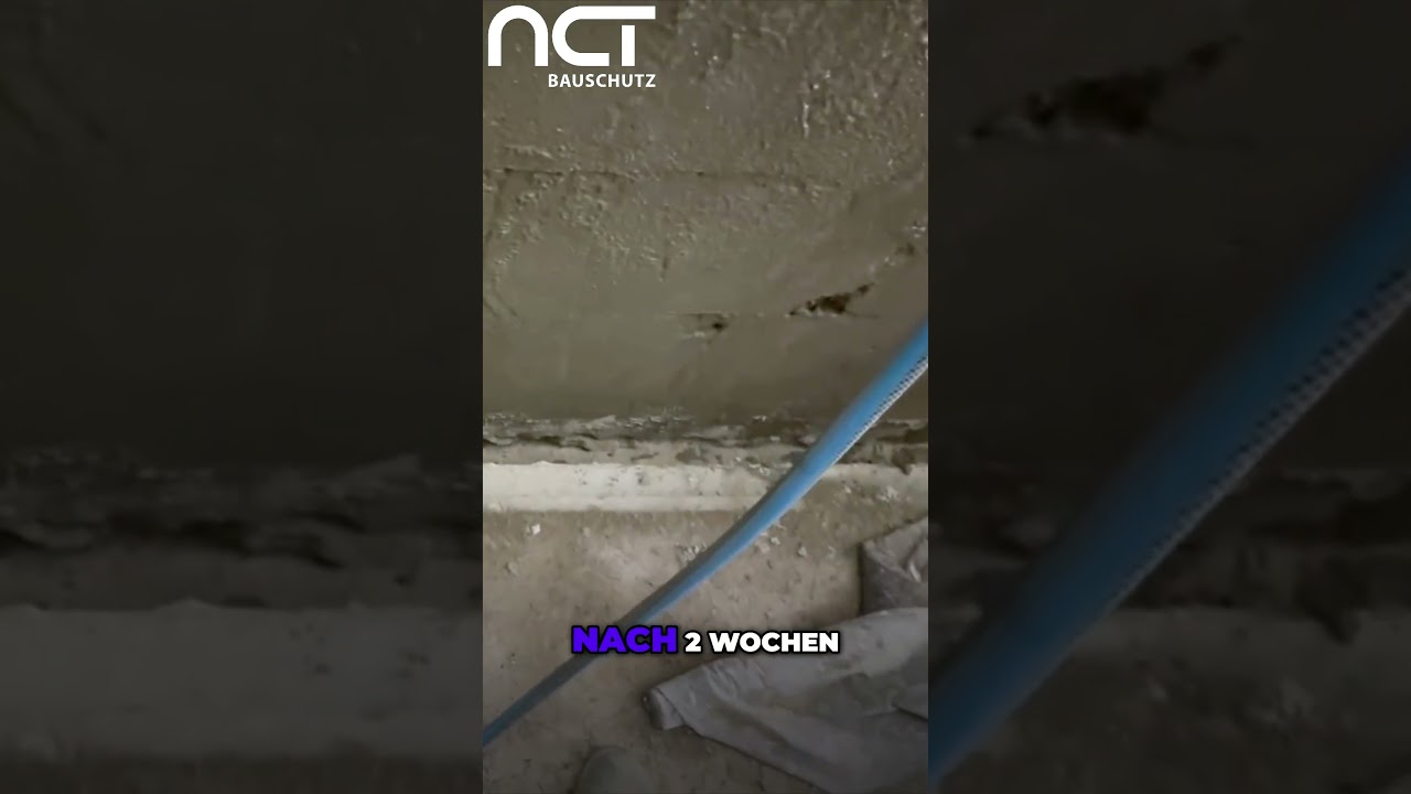 NCT CRYSTAL f&uuml;r perfekte Kellerw&auml;nde: So geht's!