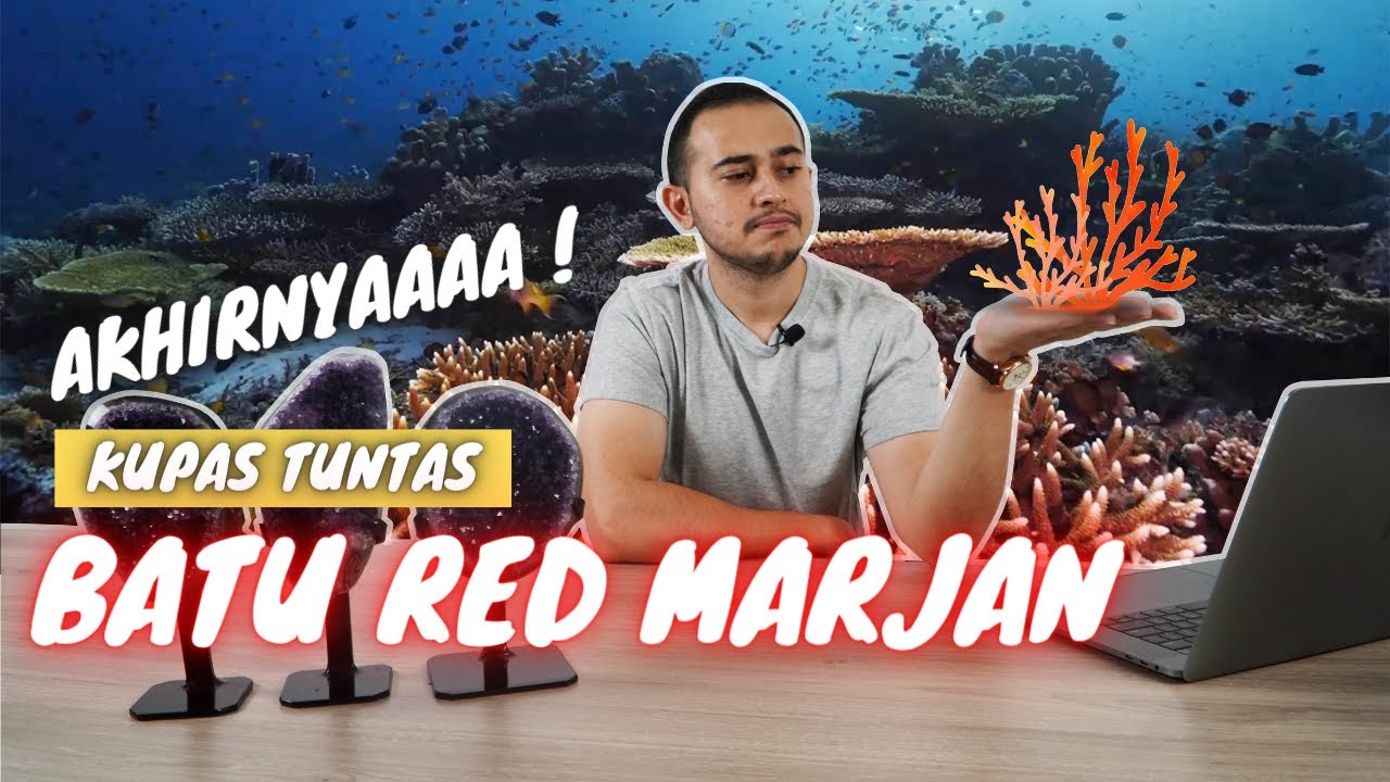 MENGENAL BATU RED CORAL ATAU RED MARJAN!! II Adam Harits, G.G (GRILAB)