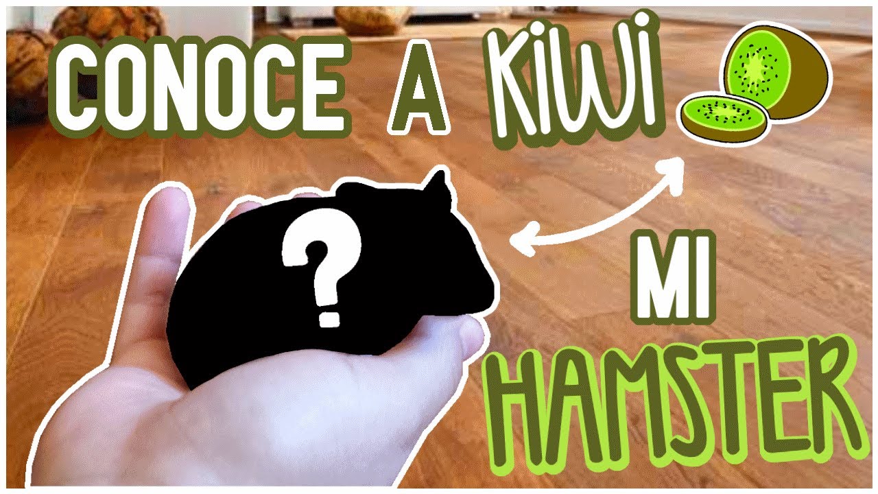 ADOPTO UN NUEVO HAMSTER
