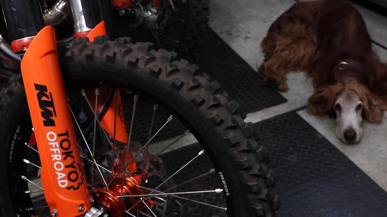 Shinko 216MX Cheater Fatty Front Long Term Review