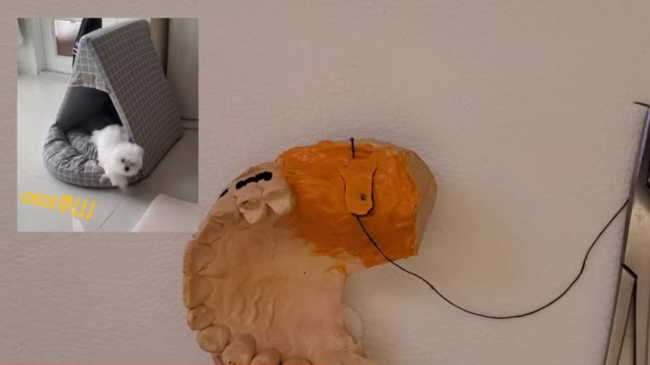 Flap folding suture 실습