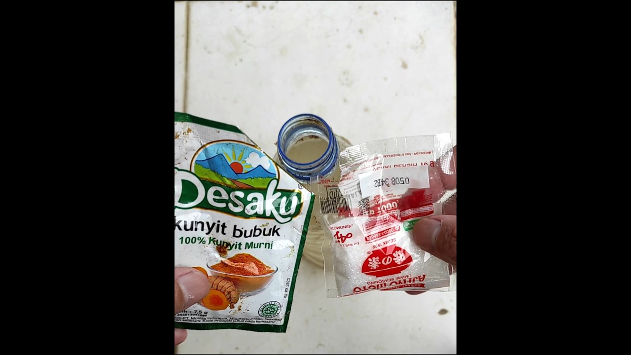MERINDING melihat hasilnya tanaman cabe rawit berbuah lebat bebas dari penyakit keriting daun