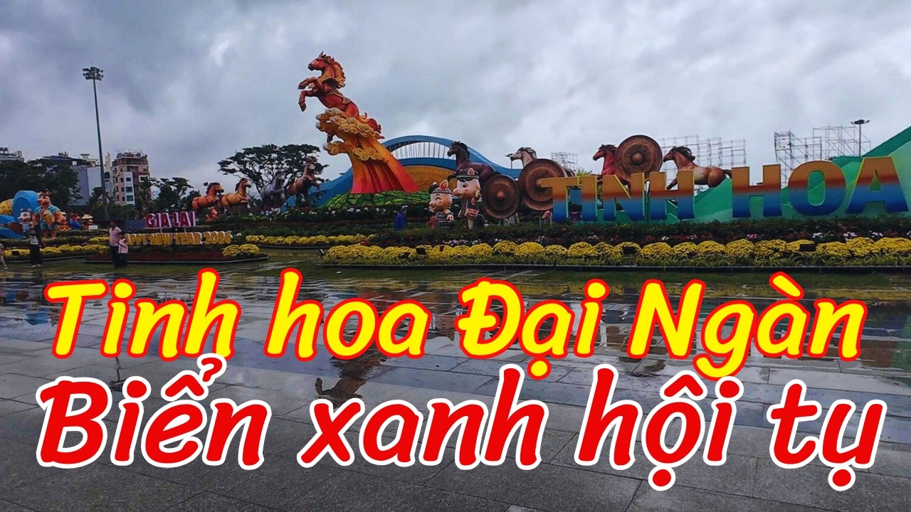 Ra xem linh vật Gia Lai ở Quy Nhơn #tet
