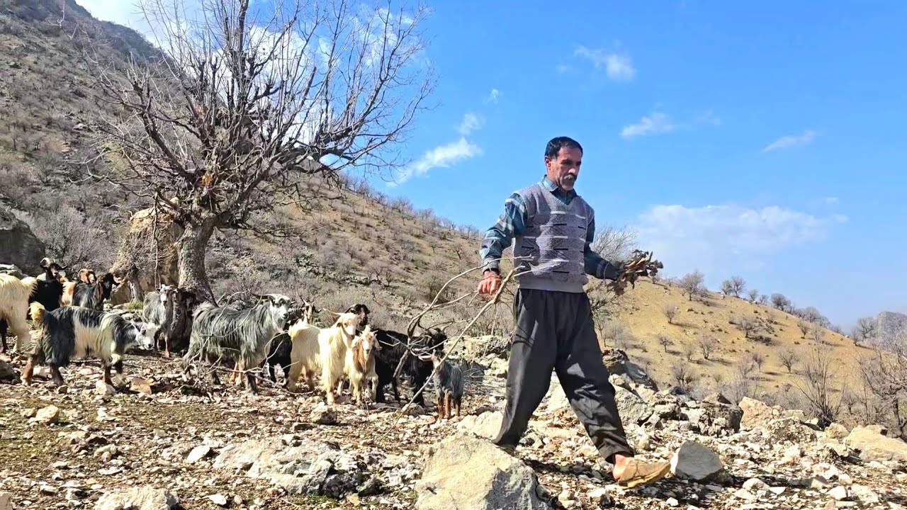 The silence of the mountains and the fiery tea | The simple life of a nomad man