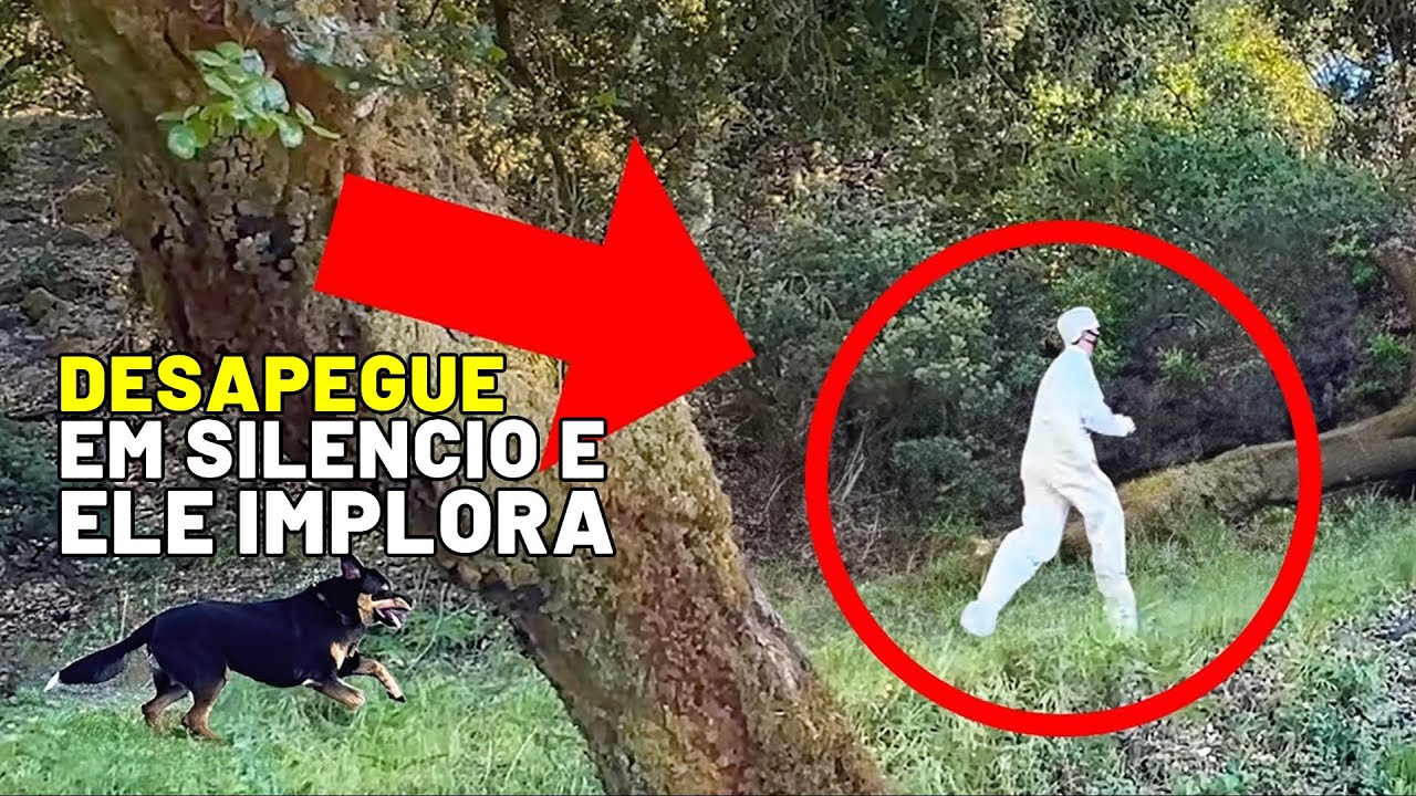 DESAPEGUE em SILÊNCIO E ELE IMPLORA