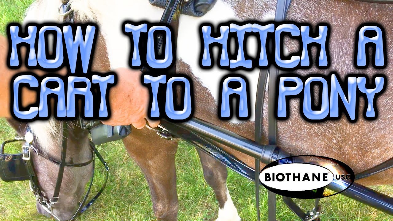 How To Hitch A Cart To Pony