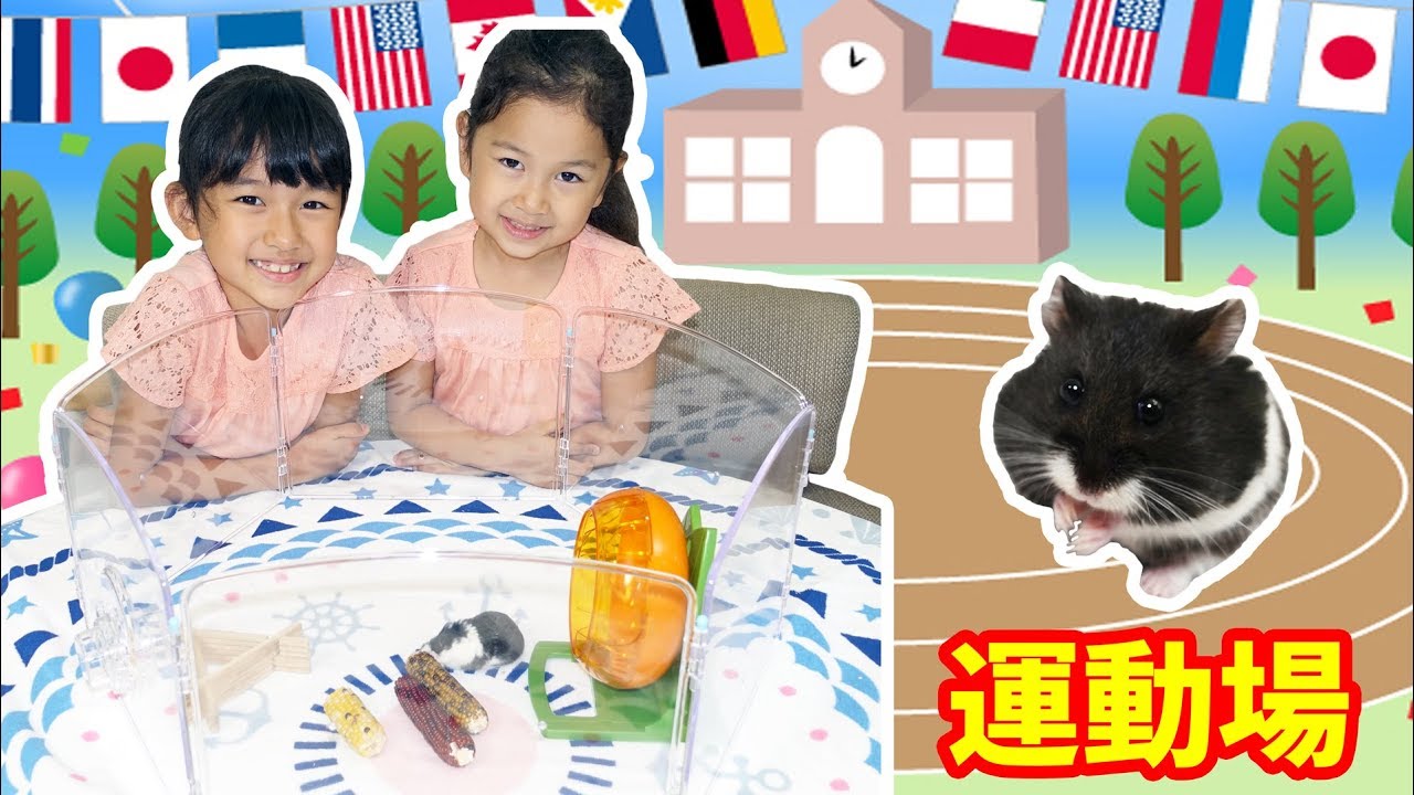 ひまわりちゃんの運動場♡ストレス解消にハムスターサークルhimawari-CH