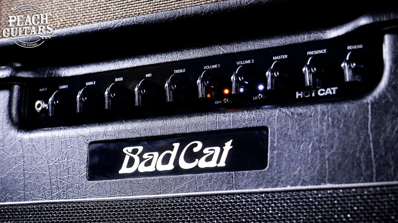 No Talking...Just Tones | Bad Cat 