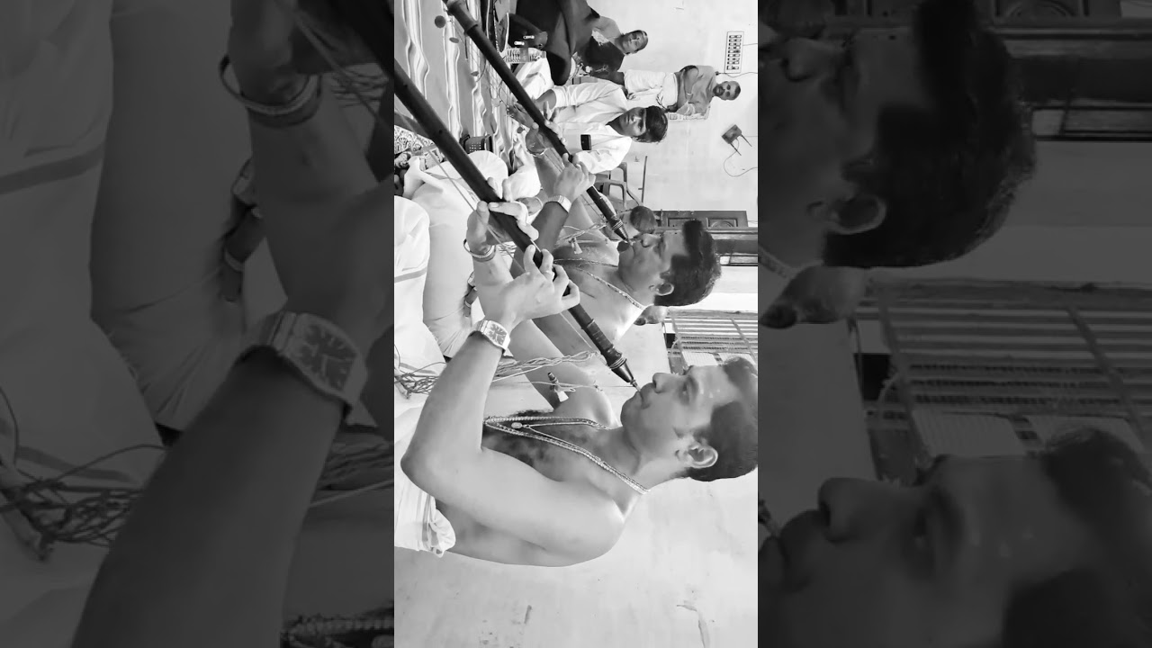 Sarasa sama dhana-ragam kapi narayani TPN Ramanathan PG Yuvaraj nadhaswaram #nadhaswaram #carnatic