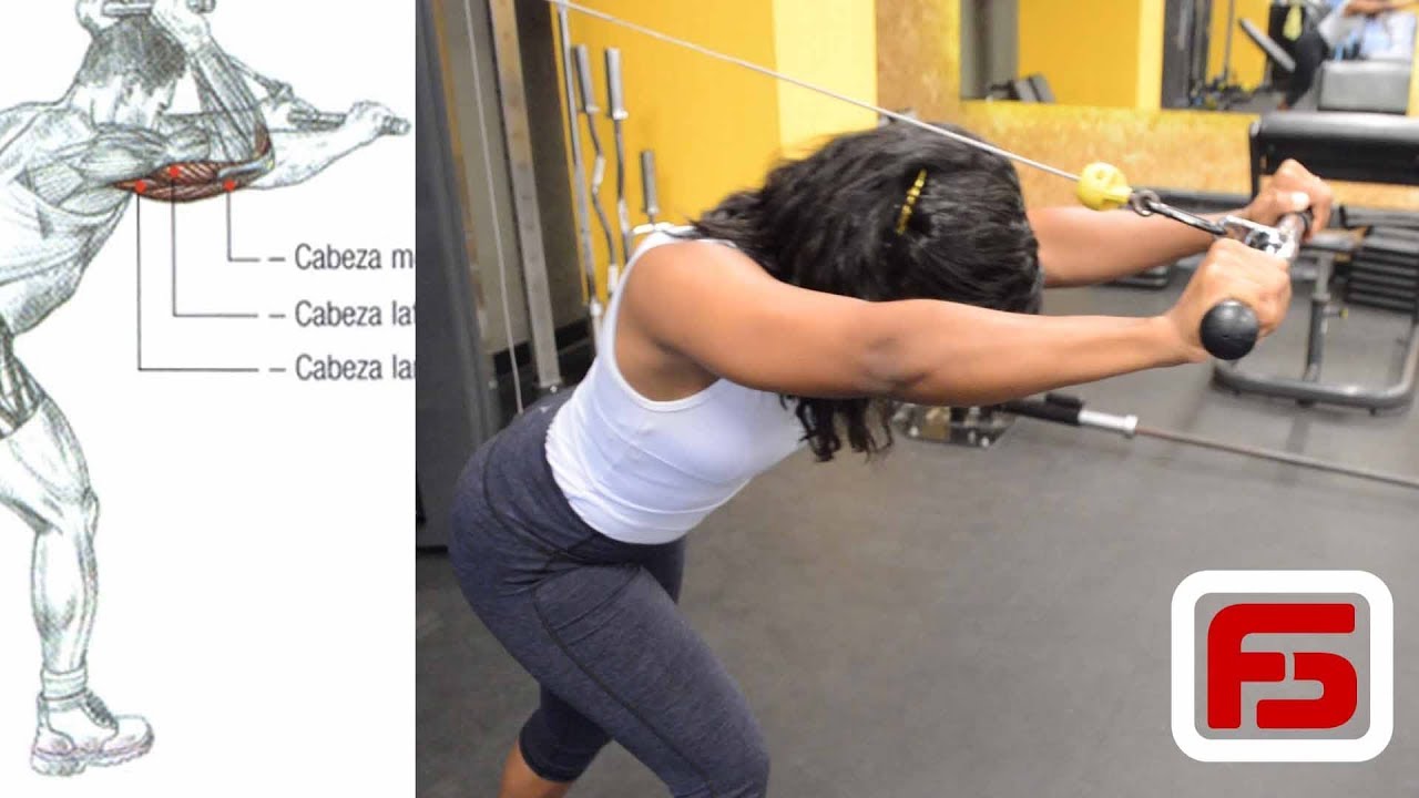 Rutina de Pecho con Hombros y Triceps, Rutina del Lunes | Angie Guerrero