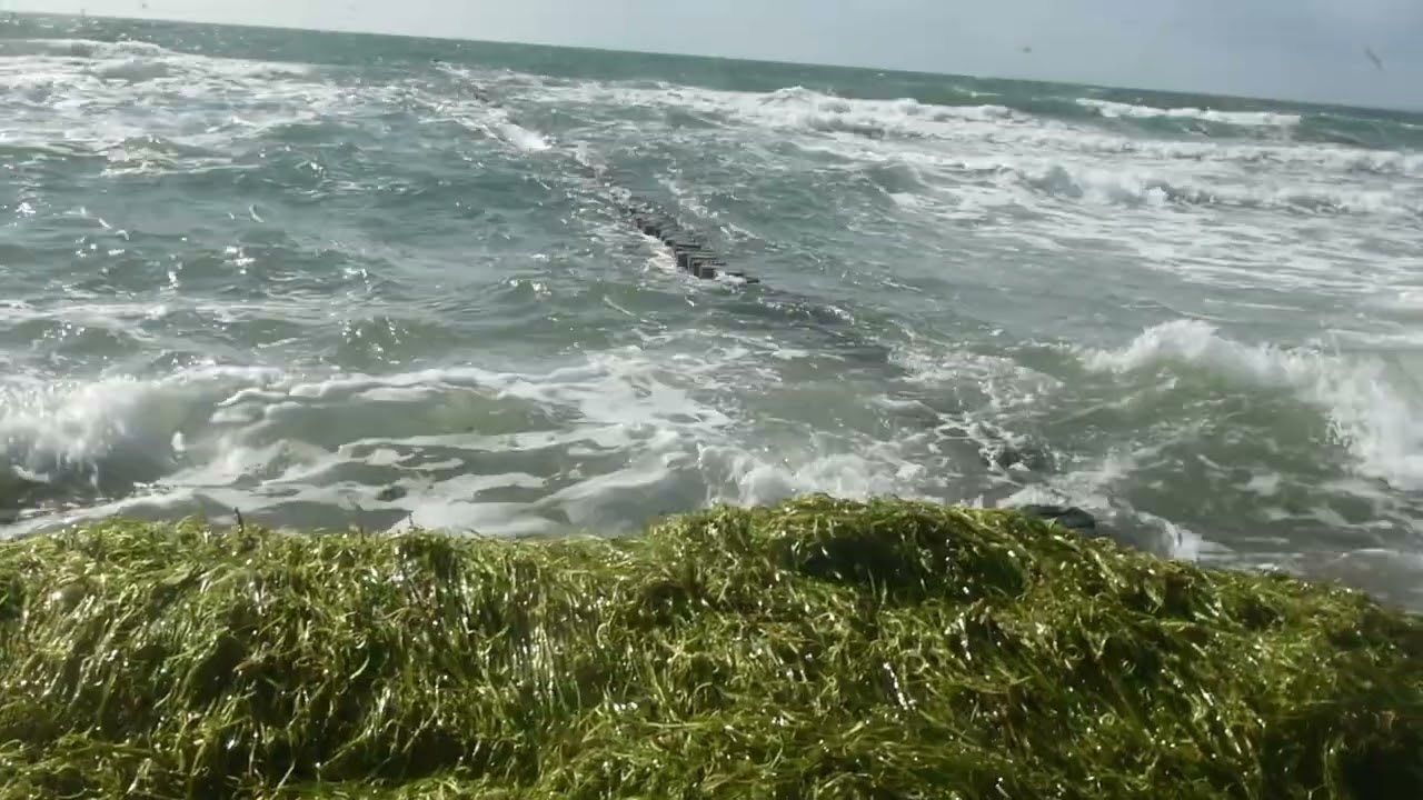 Ostseewellen, Wind  und Sturm am Strand der Insel Hiddensee, August 2023...