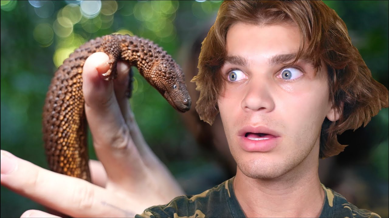 I Found an "EXTINCT" Earless Monitor! (Rarest Lizard On Earth)