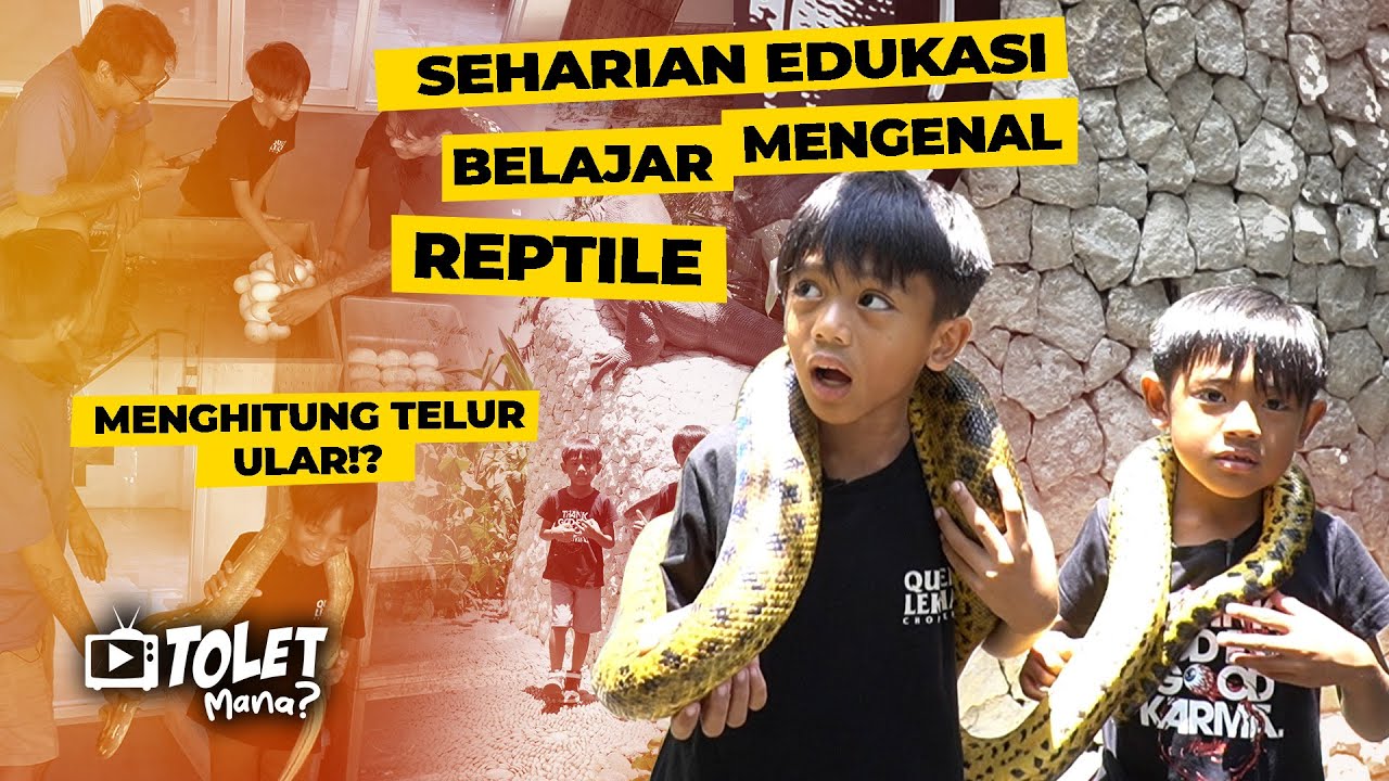 GOKA & BUMI SEHARIAN EDUKASI BELAJAR MENGENAL REPTILE || SI TOLET EPS. 75