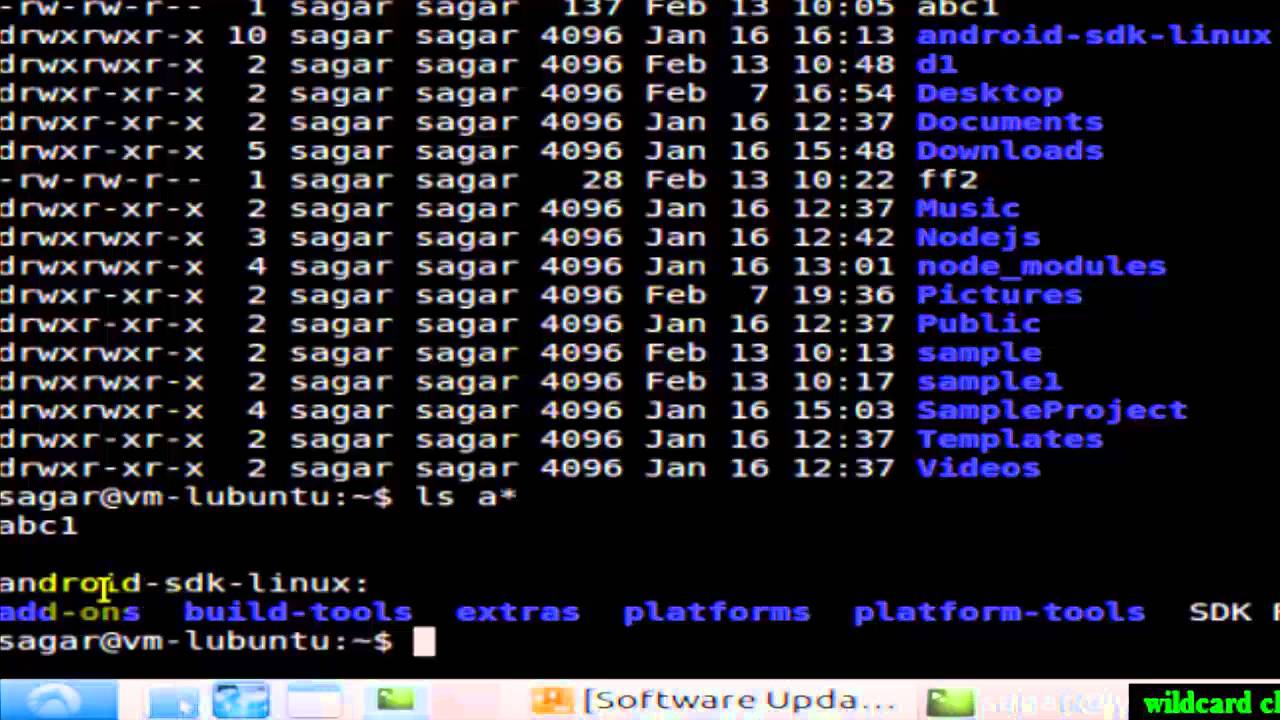 wildcard characters in Unix