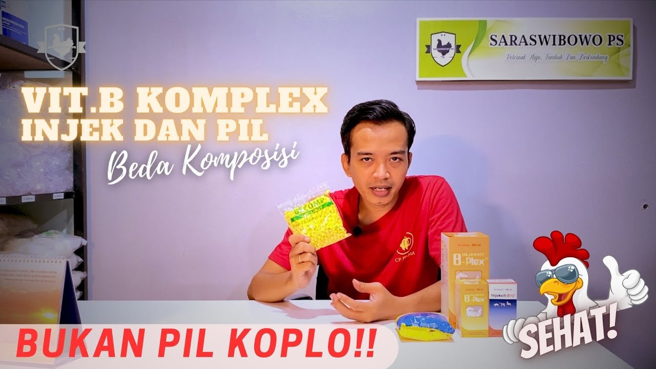 TERNAK ANTI STREES DAN CEPAT BESAR | KOMPARASI VITAMIN B KOMPLEX
