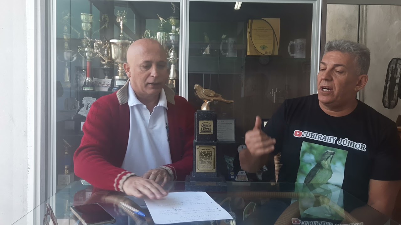 COMO FOI A HISTÓRIA CURIO ENCRENCA, NARRADA POR RENATO DE ITAJAÍ DO CRIATORIO PRORROGAÇÃO, ETC...TJ