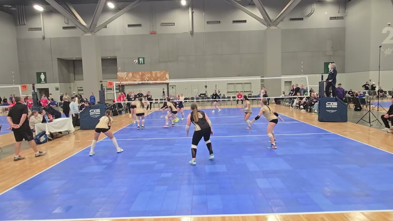 MEQ GOLD BRACKET G1 S1