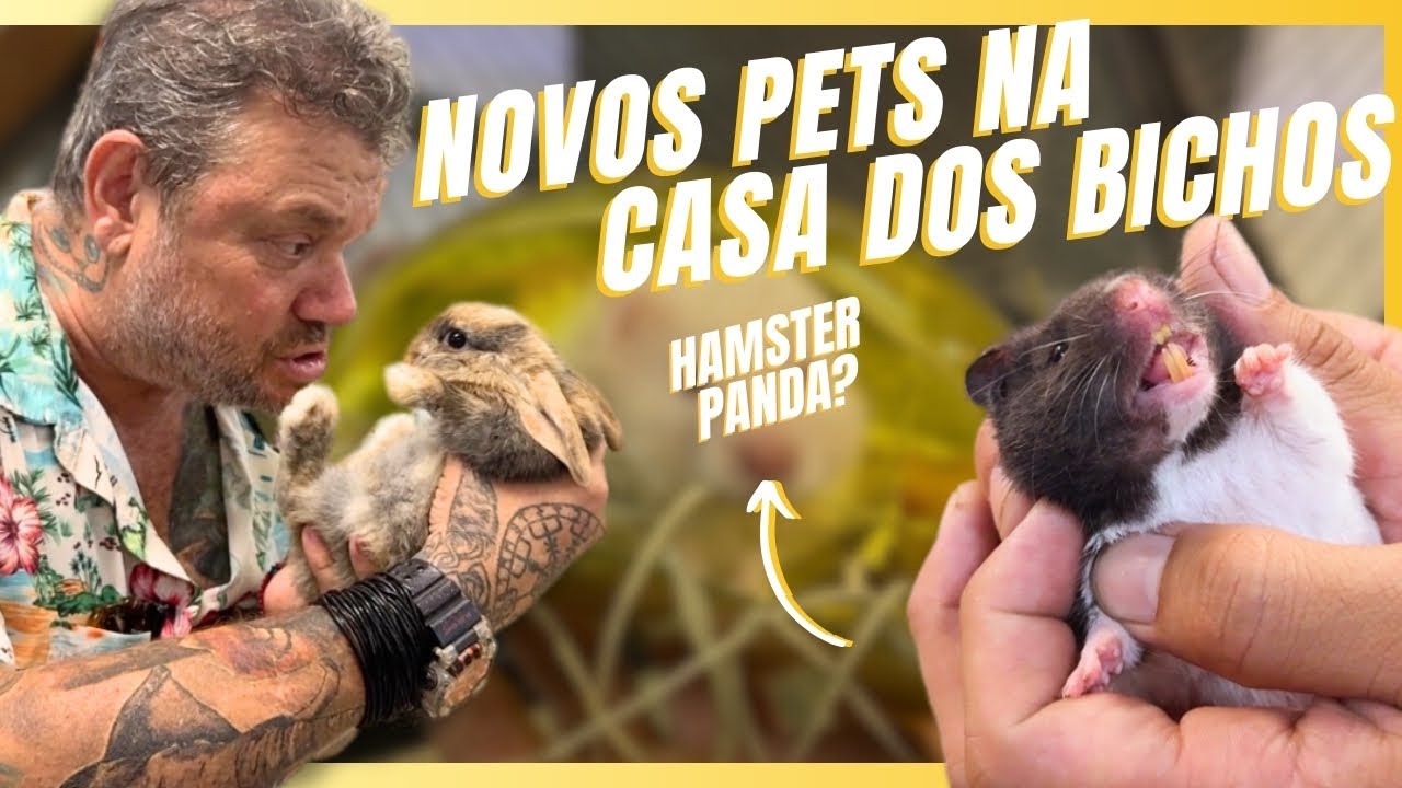 ESSE HAMSTER É IGUALZINHO A UM PANDA! VOCÊ NÃO VAI ACREDITAR!