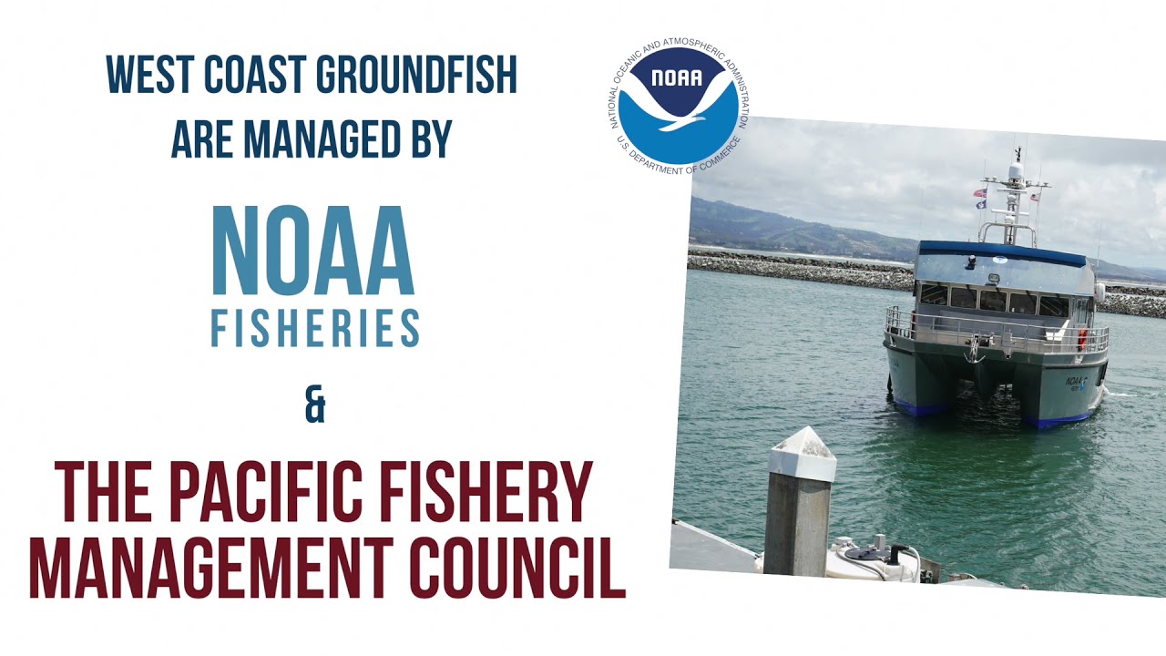 Is Eating Groundfish Sustainable?