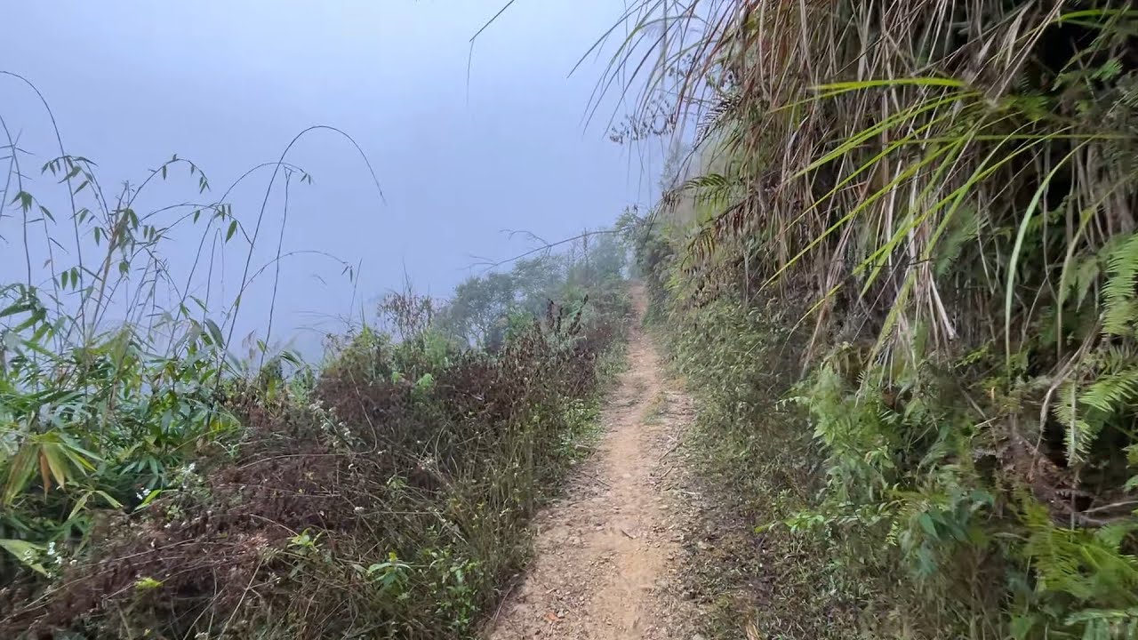 POV: The mysterious trail in the mist the locals go to their fields every morning