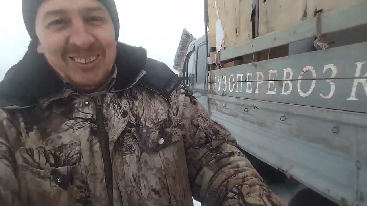 Домашний переезд.
