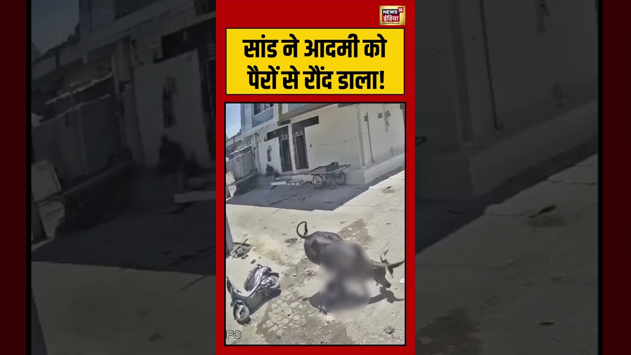 Viral Video | सांड ने आदमी को पैरों से रौंद डाला! | #viralnews | #viralshorts