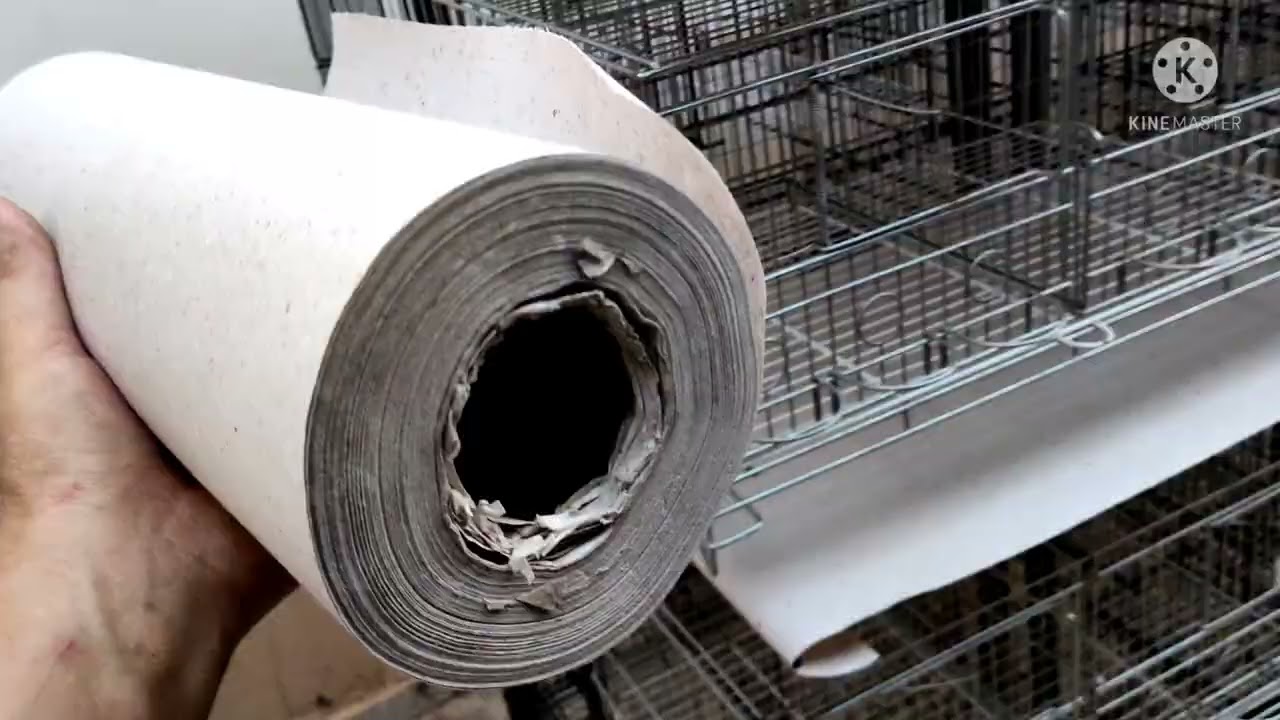 Sistema de esteira de papel