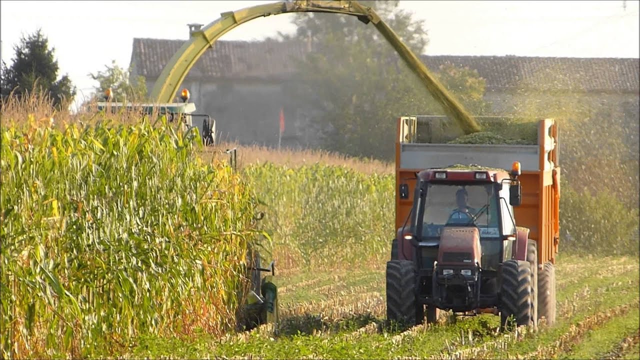 BOZZETTO: Silomais 2013 JOHN DEERE  FULL HD 1080