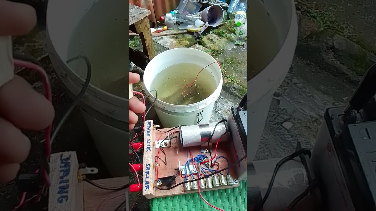 Setrum ikan platina paling irit!!!