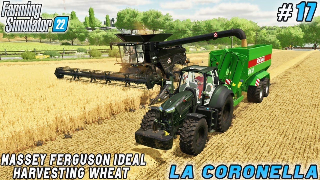 Expanding the Farm's Capabilities: Investing in a Dairy & a Combine Harvester | La Coronella |  #17