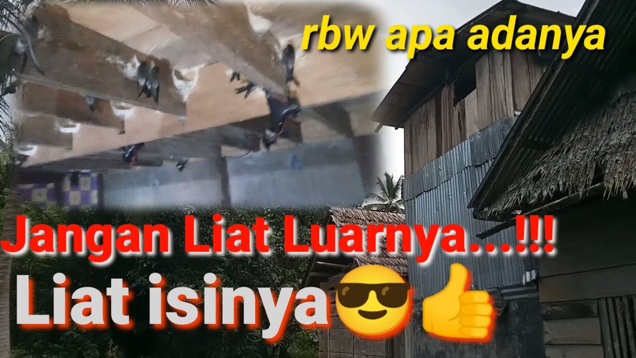Rbw Mini 2 Lantai ukuran 3x5 bisa sukses~Albar Walet