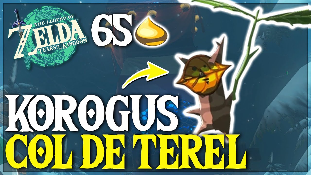 Toutes les NOIX KOROGU du COL de TÉREL dans Zelda Tears of the Kingdom - TUTO ZELDA TOTK