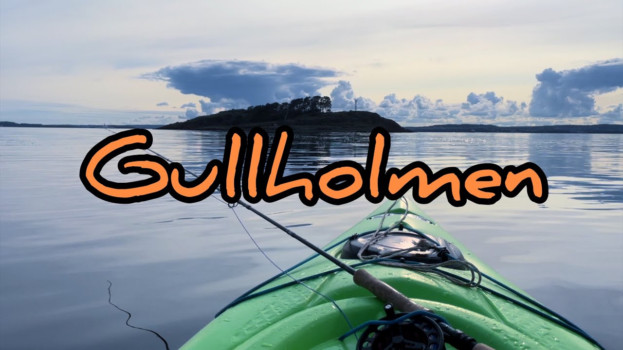Fluefiske Gullholmen