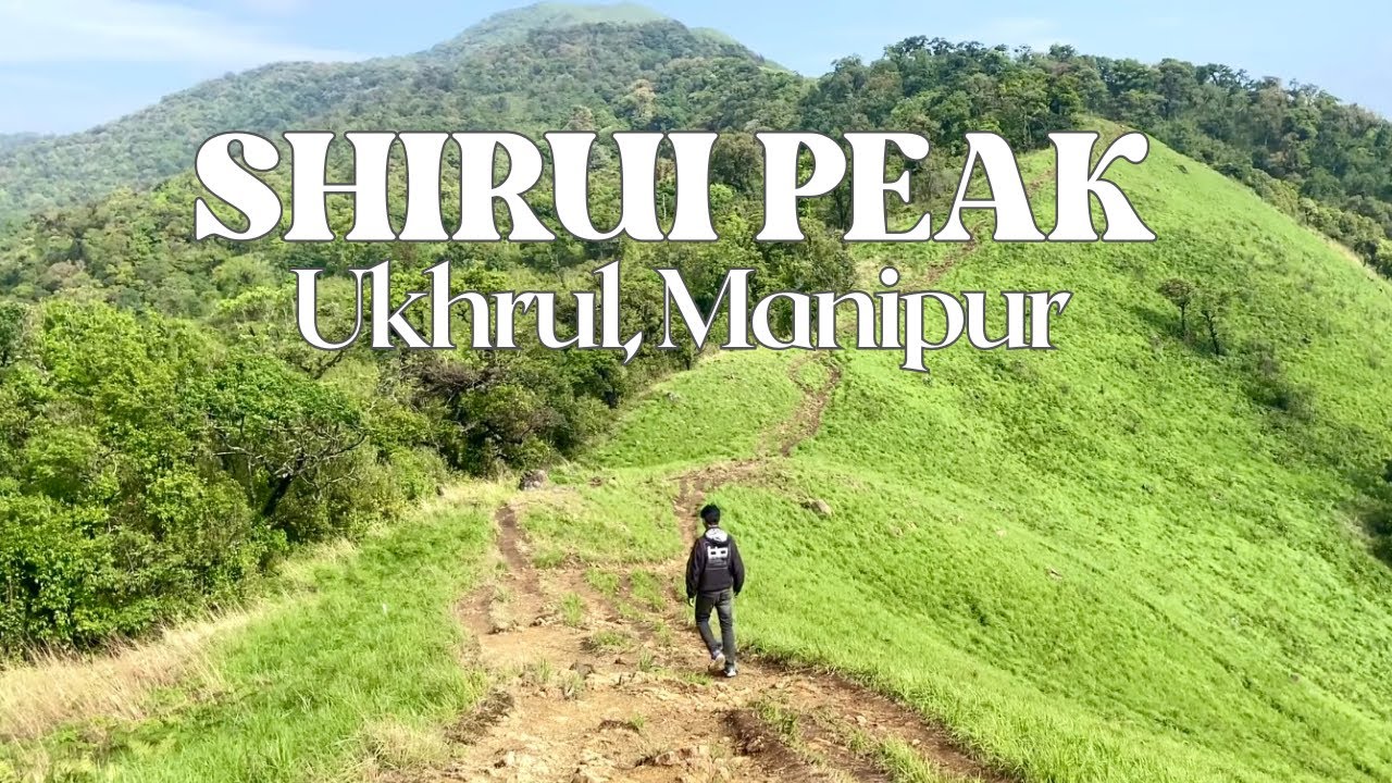 Shirui Peak | Chasing the Traces of Shirui Lily Festival 2025 | Ukhrul, Manipur.