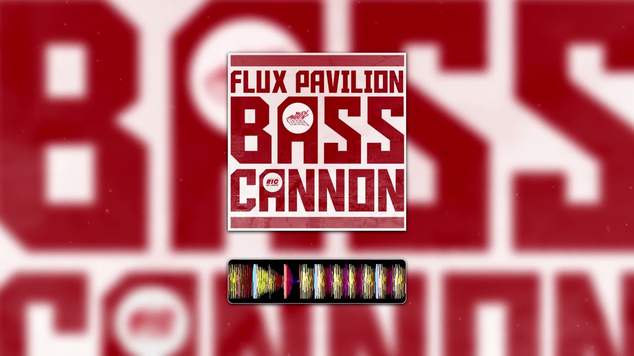 Flux Pavilion - Bass Cannon (Ric de Large DnB Remix)