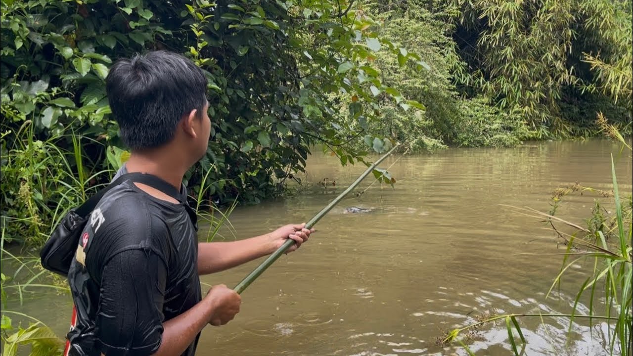 Nekat Sebrangi Sungai Yang Terkenal Akan Ular Dan Buaya-nya Demi Tengok Tajur Toman