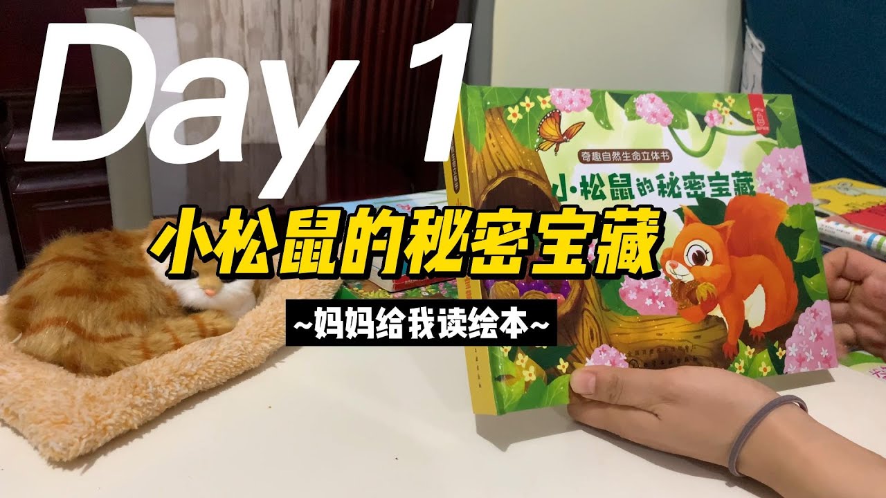 小松鼠的秘密宝藏 | 绘本 | 绘本阅读 | 亲子阅读
