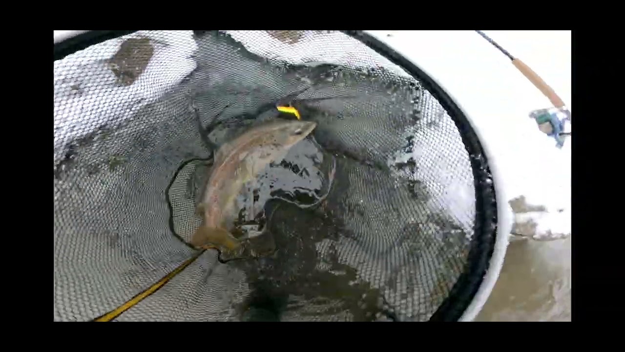 LAKE ONTARIO NY TRIBUTARY FISHING LATE JANUARY 2026 DAY 1