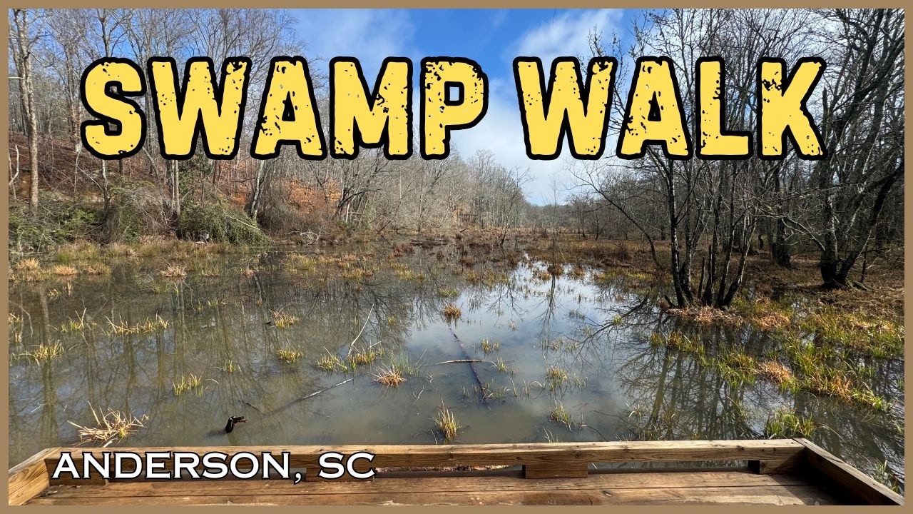 Rocky River Nature Park: Walking the Boardwalk! - Anderson, SC