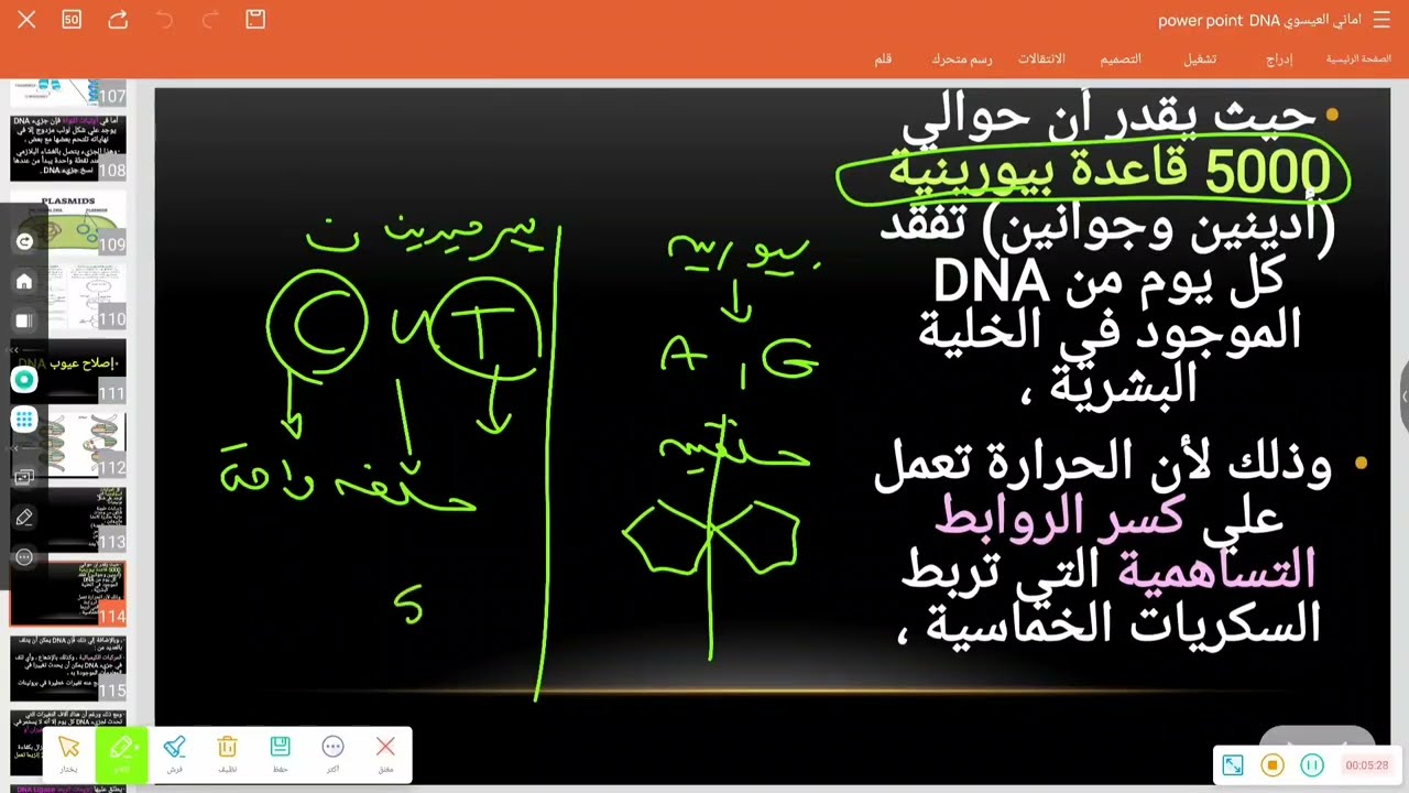 إصلاح عيوب الDNA _ افهما ما تحفظهاش 