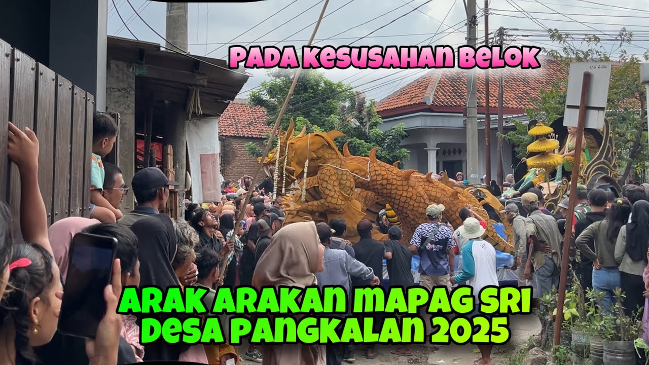 Wow ogoh ogoh pada masuk gang sempit ‼️ ARAK ARAKAN PANGKALAN 2025 Acara mapag sri desa pangkalan