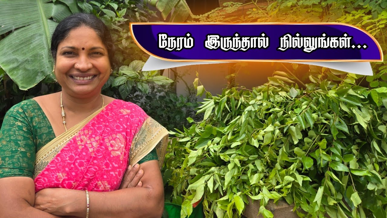 நேரம் இருந்தால்  நில்லுங்கள் உங்களுடன் நான்