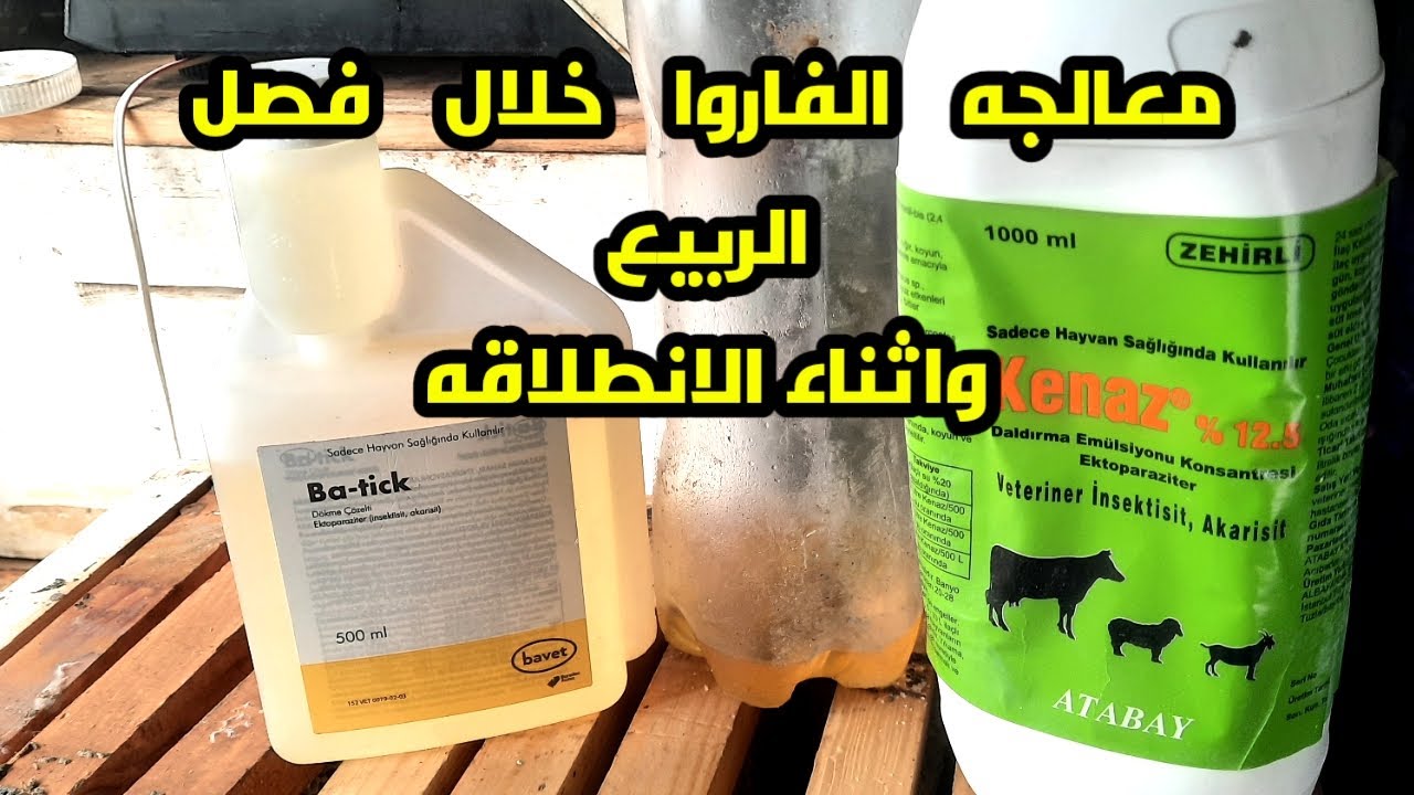 مكافحه الفاروا والبرنامج الربيعي كاملا