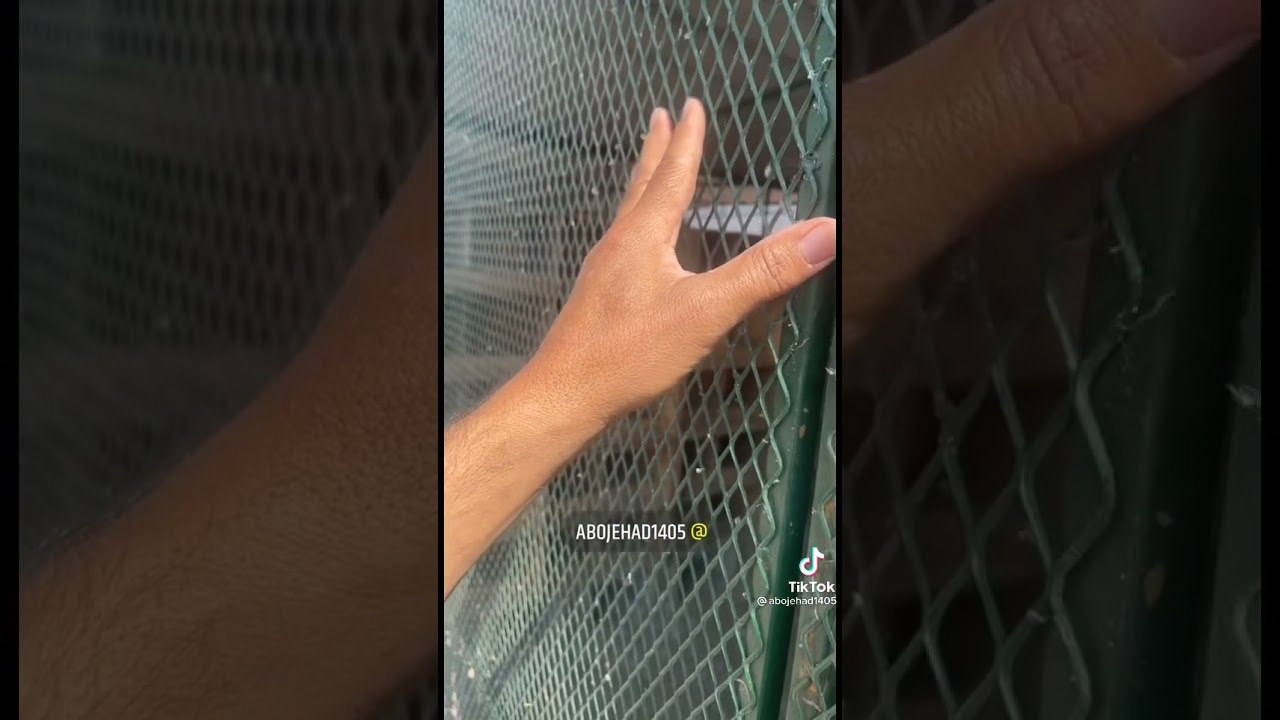 مزرعة حمام ابو جهاد