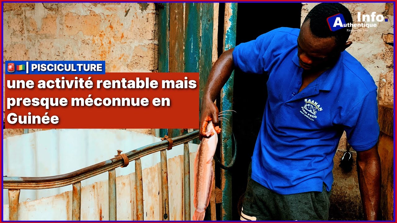 🚨🇬🇳| PISCICULTURE : une activité rentable mais presque méconnue en Guinée✅