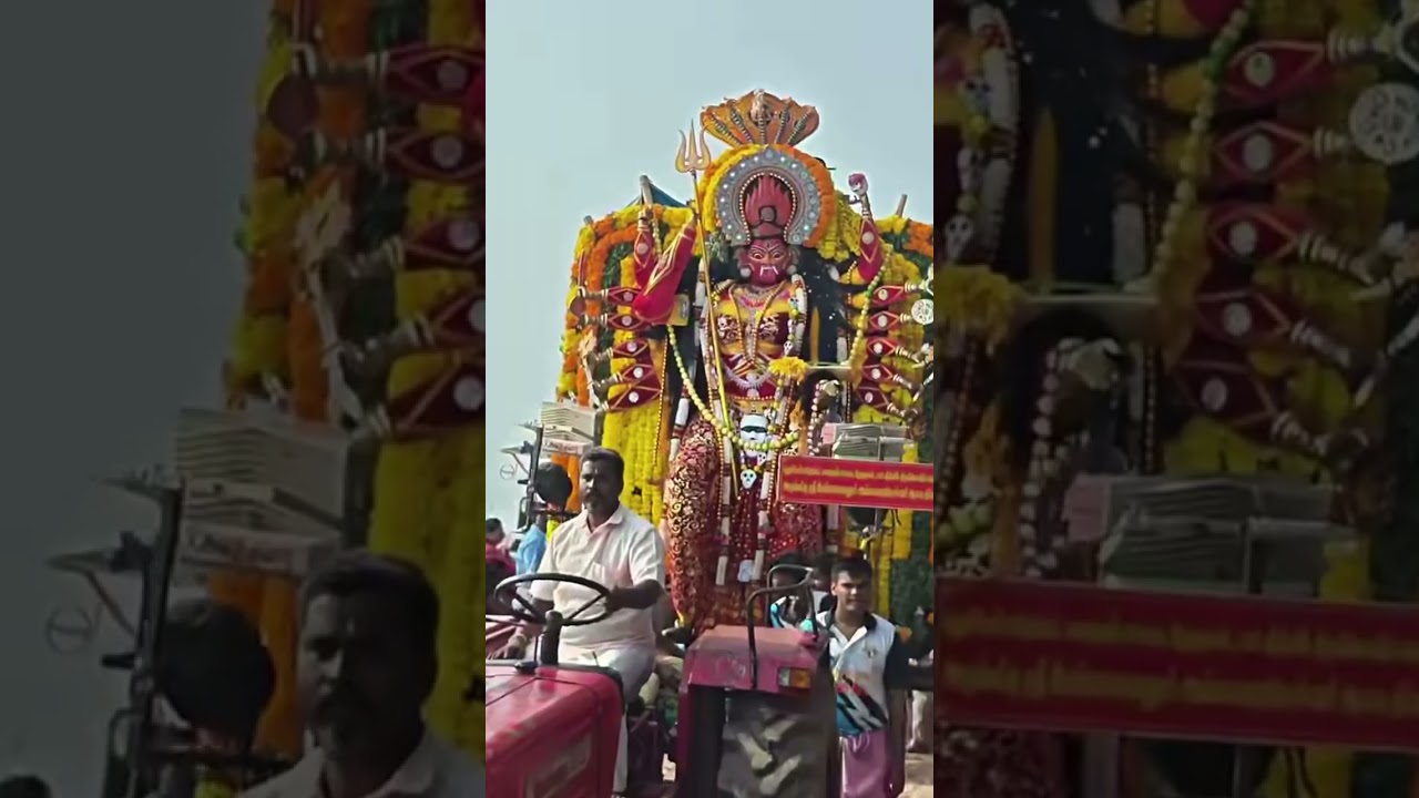மாசி மகம்  2026#videos#pondicherry#trending 