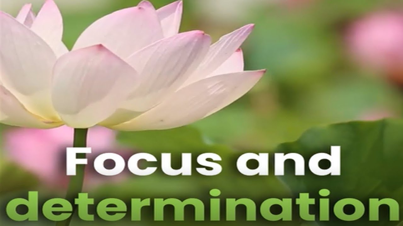 FOCUS AND DETERMINATION.  AFFIRMATIONS 