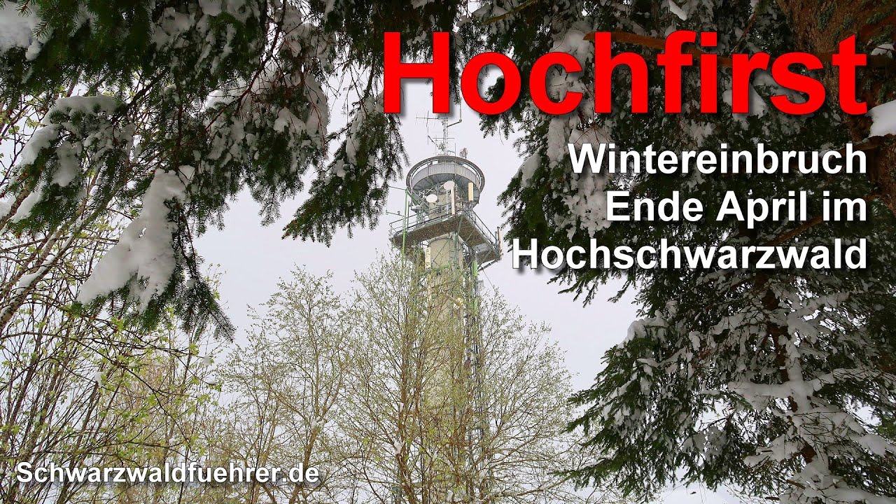 Hochfirst bei Titisee-Neustadt im Hochschwarzwald